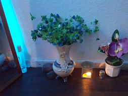 Thai Massage Inside 1